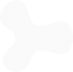 NGO in India